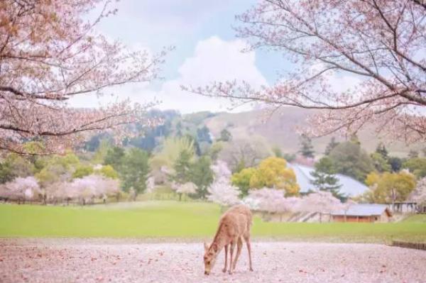跟拒签说NO！教你如何提高你护照含金量！