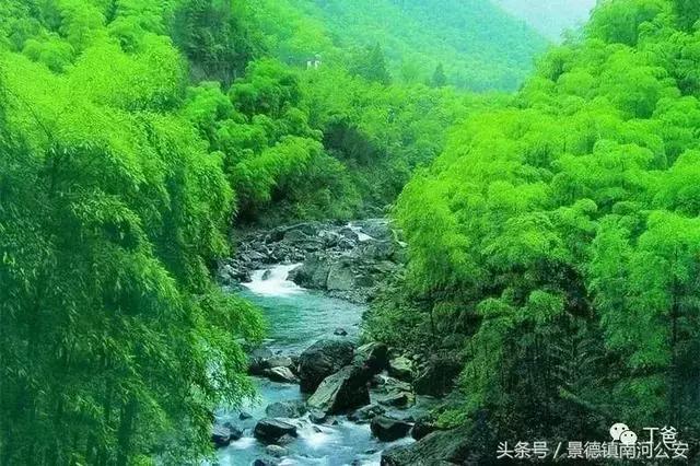 河南警官证免费景区,河北省哪些景区使用警官证免费