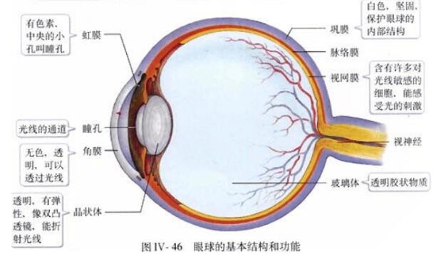 2018中考生物知识点总结（图文并茂），喜欢的朋友记得收藏或转发