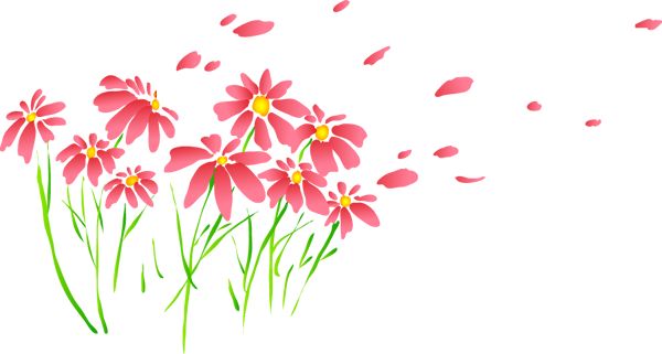 跟着书记县长去观摩，看沭阳七月“美景”红似火！