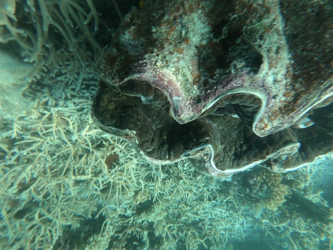 帕劳的海景风光给人美的享受,帕劳的海洋和沙滩风景图片