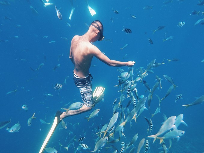 帕劳的海景风光给人美的享受,帕劳的海洋和沙滩风景图片