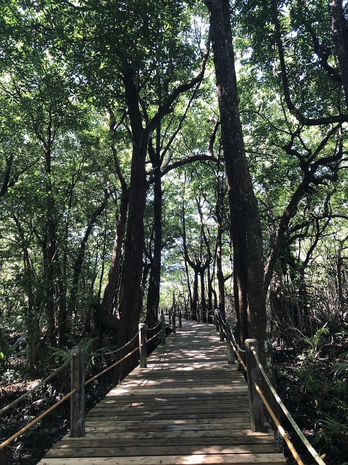帕劳的海景风光给人美的享受,帕劳的海洋和沙滩风景图片