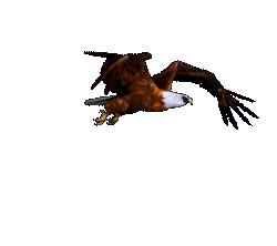 怡人的景色视频,怡人的风景美景