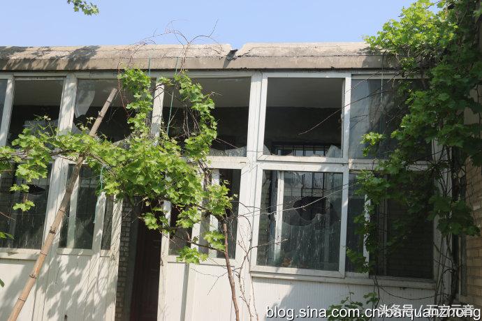 我在“浩顺2号院”的家成了“动植物园”啦