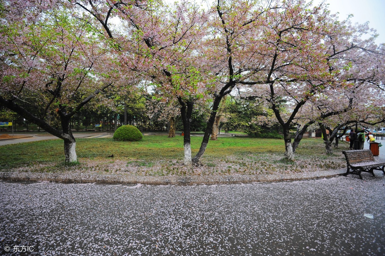 中考语文精选作文素材集锦,2021语文高考乙卷作文素材