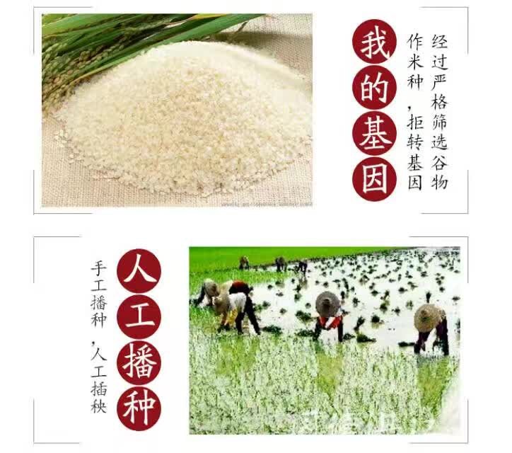 良知企业东方米道呼唤换回小时候的味道