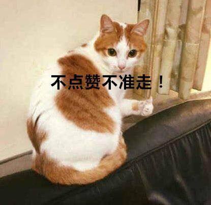 梦幻西游2万元买号,梦幻西游3万能买到175凌波城的号