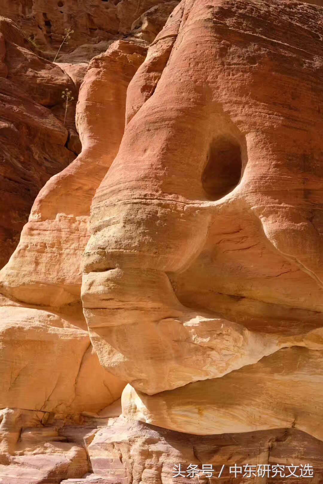 失落的古城佩特拉,失落的城市佩特拉