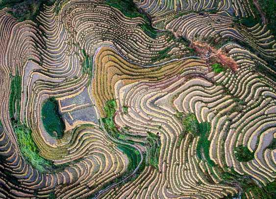 龙脊梯田有什么风景,龙脊梯田美不胜收天然氧吧