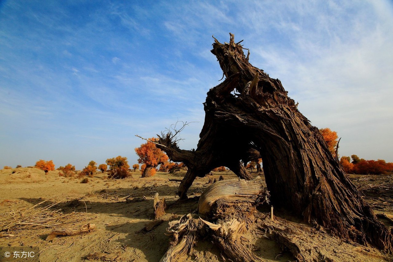 杨卫磊书三幅余华人生金句，精美的书法展现刺痛人心的深度思考