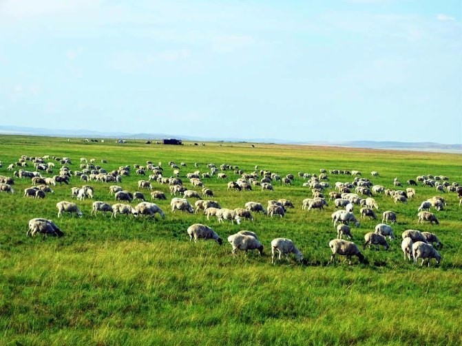 浪漫呼伦贝尔双飞五日游,呼伦贝尔5月精彩7日之旅