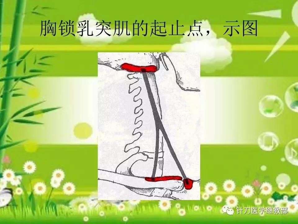 颈椎肌肉损伤用小针刀治疗,针刀治疗颈椎导致神经损伤