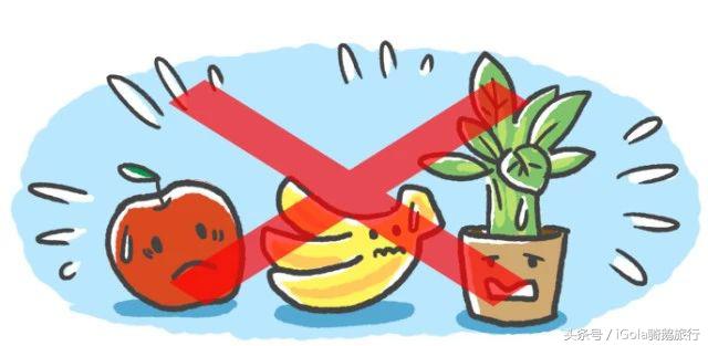 一个苹果罚款500美元！带上这些过关，可能就要进小黑屋了