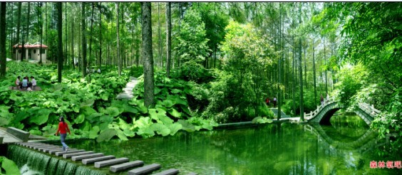 5a嵩县,5a嵩县县城