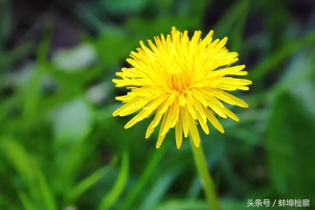 辨辫辩瓣顺口溜,读汉字口诀顺口溜