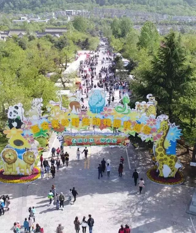 南昌人西安旅游4天攻略,南昌去西安7天