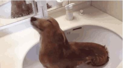 洗澡时的6个错误,洗澡最容易犯什么错误