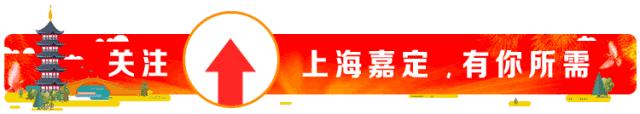 动动手指服务上门嘉定阳光服务平台升级