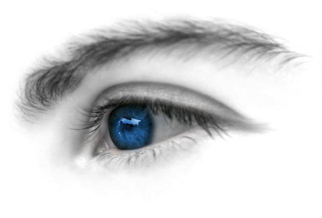 确认过眼神你是对的人女声,确认过眼神你是对的人完整版