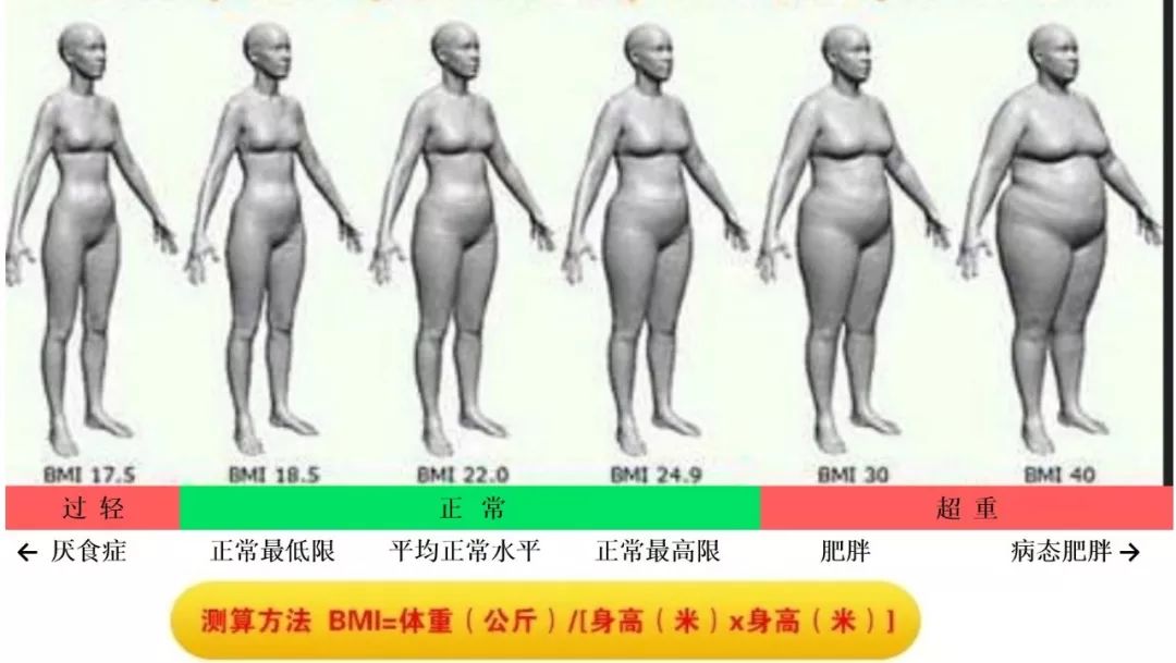 排油减脂肪的药是真的假的,瘦身药奥利司他