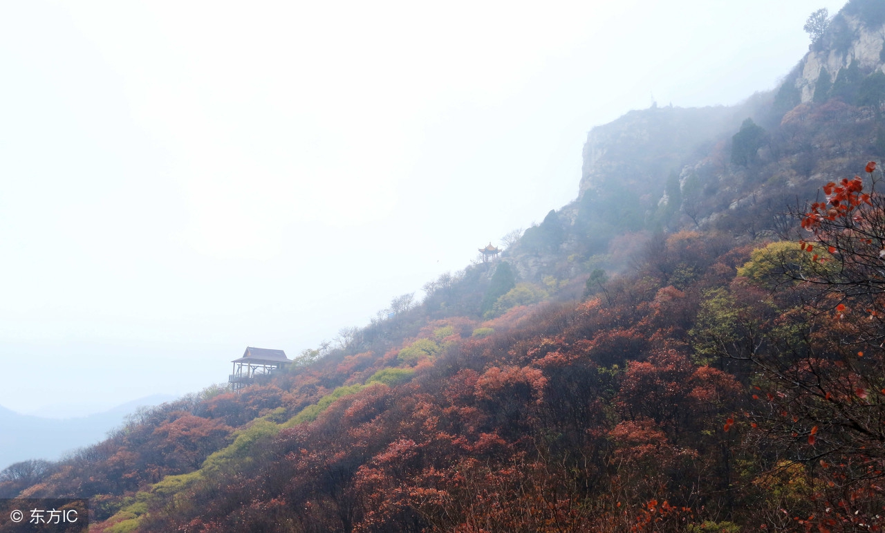 临朐土话有什么说法,中国临朐土话