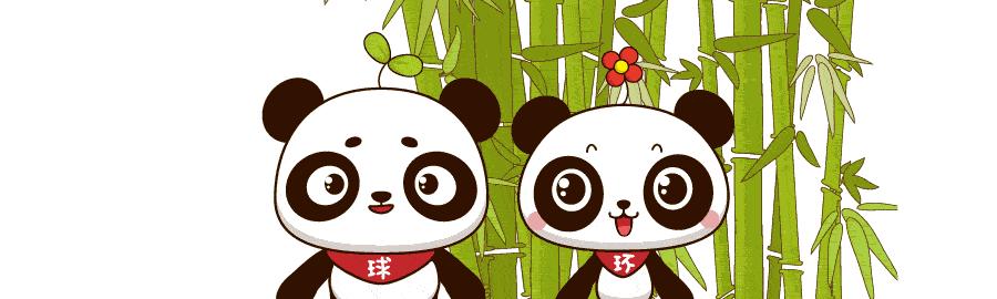 全球顶级黑客组织首领,美国20多名顶级黑客专家