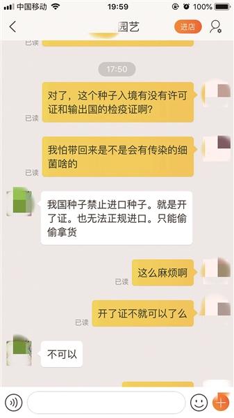 海淘多肉植物热销背后存风险多数无进口许可证