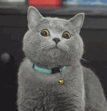 爆款烟酰胺面膜补水保湿,测评全网100款最火面膜