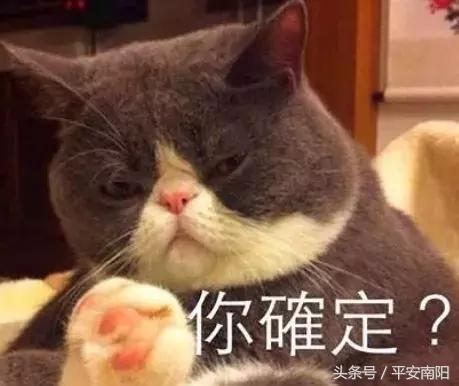 河南人！注意这个新*局骗**！打着物联网的旗号，号称一分不投两年赚2400万……