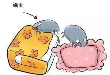 被子羽绒被蚕丝被现场制作,被子是买蚕丝被还是羽绒被