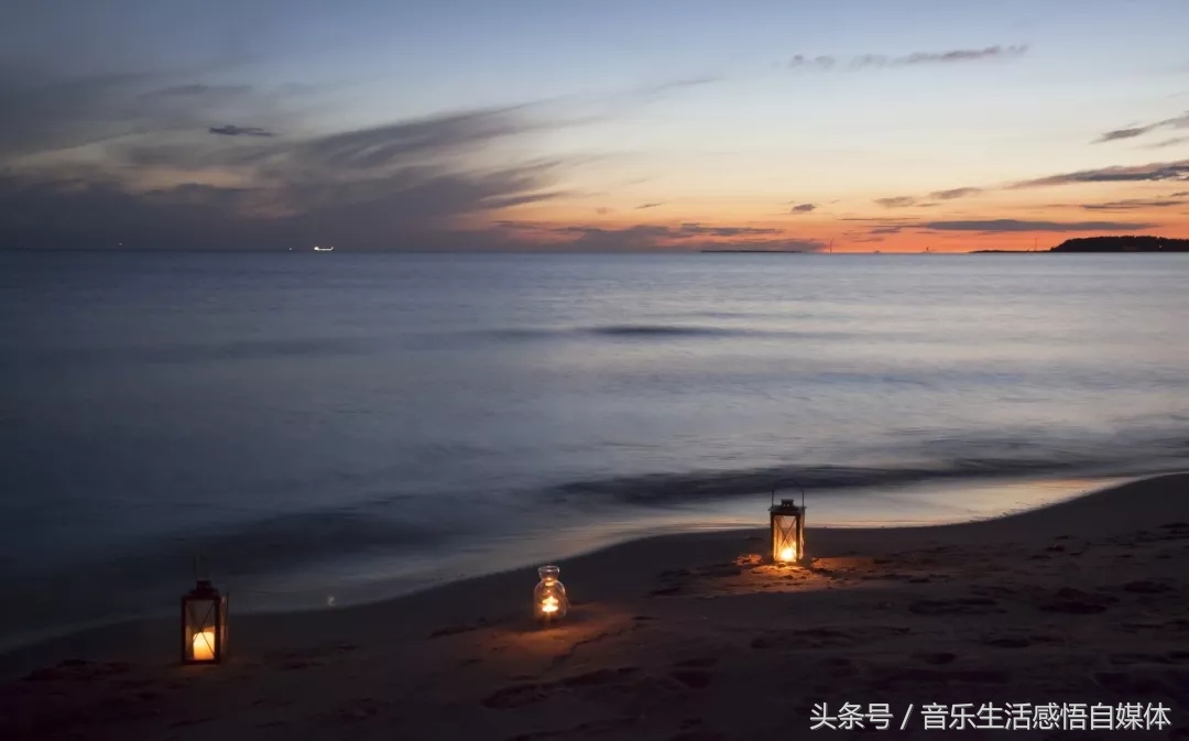 洋韭菜和土韭菜,喜欢吃韭菜的老韭菜