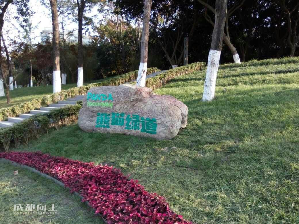 整整修建了20年的三环路,最近三环新修什么路