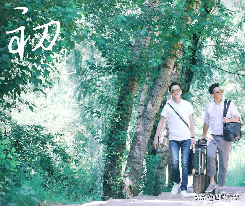 向前看向钱看全文,向前看向钱看完整视频