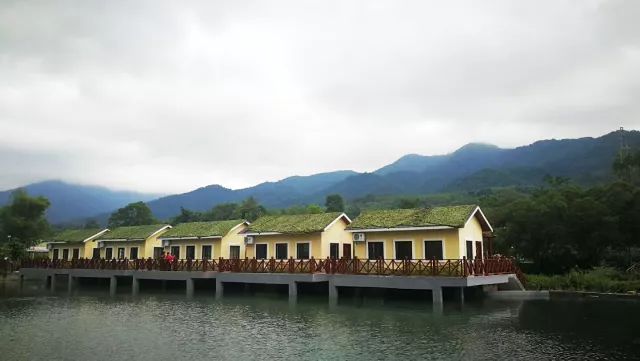 来上犹我养你高清图片,来武平我养你