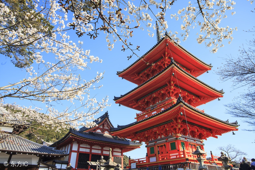 日本教育历史宏观发展脉络,日本江户时代私塾教育发展