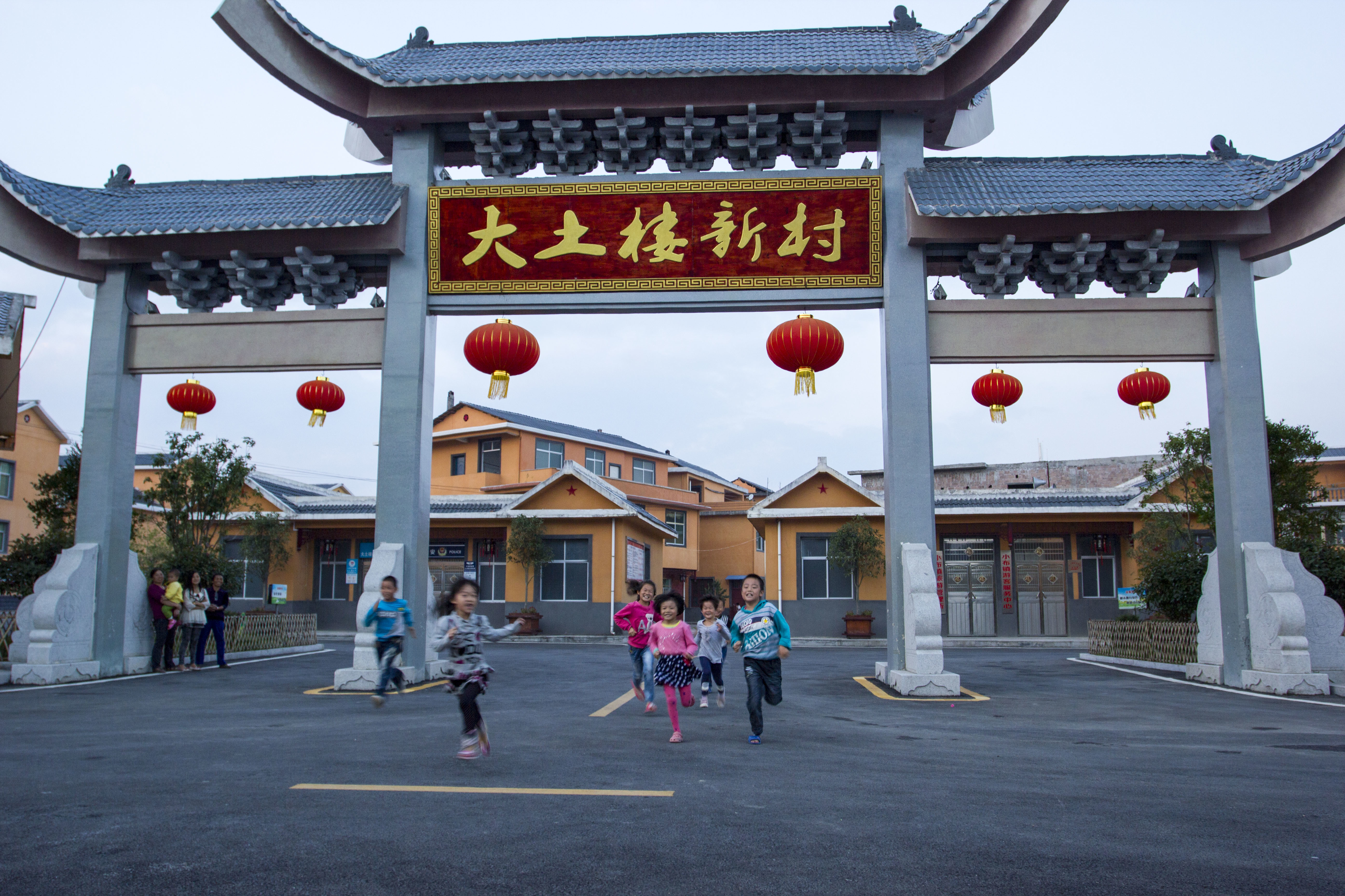 江西宁都小布茶,宁都县小布乡茶叶基地