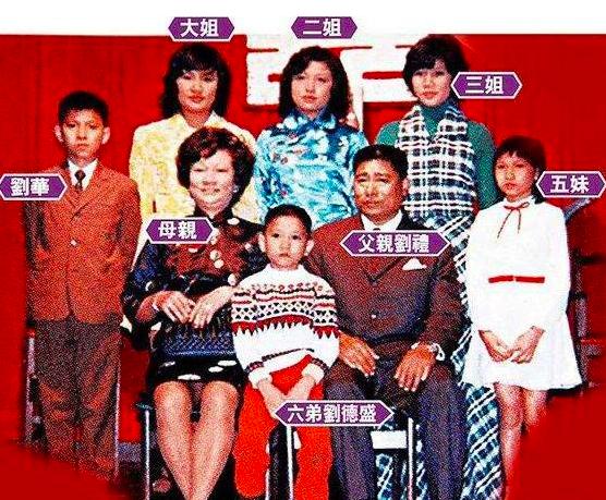 刘德华帮助杨丽娟还债,刘德华帮女歌迷偿还债务