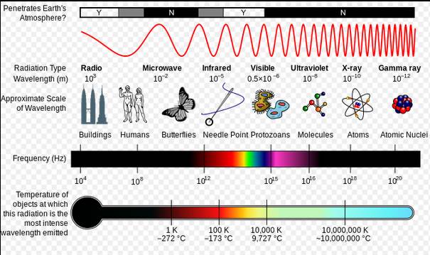 穴居鱼启发的光学设备：有利于更加有效地使用无线通信带宽！