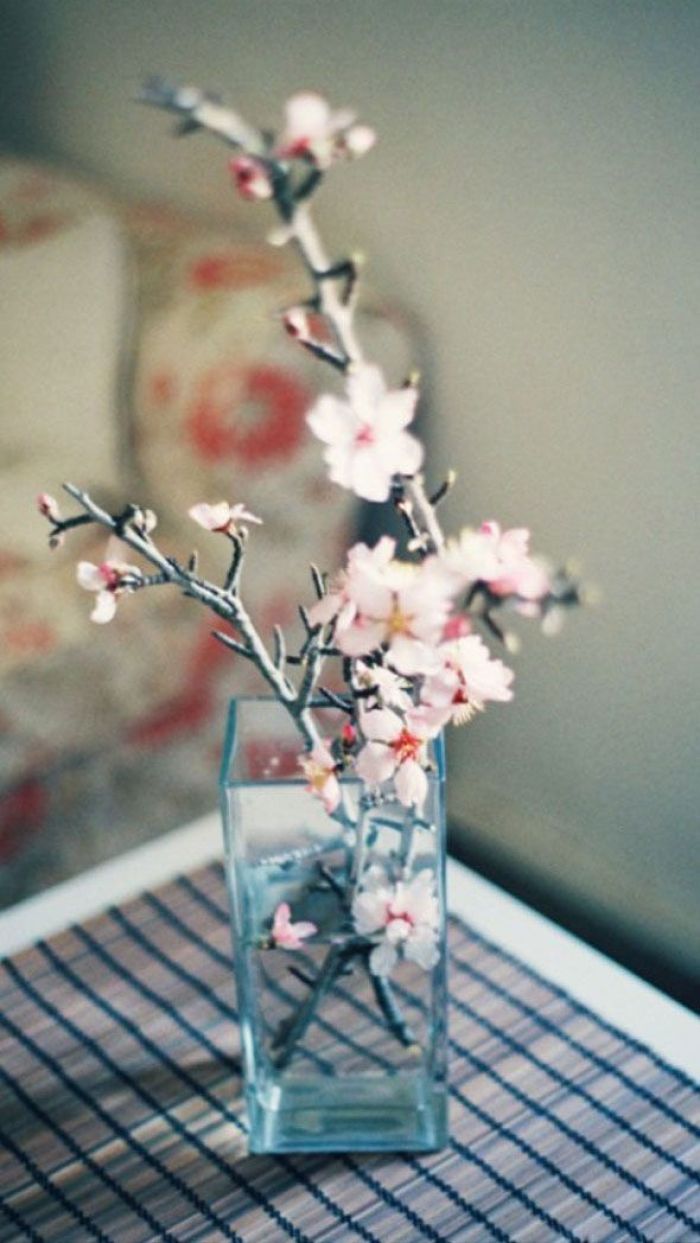 祝福自己的唯美句子摘抄古风,青春的句子唯美简短摘抄大全