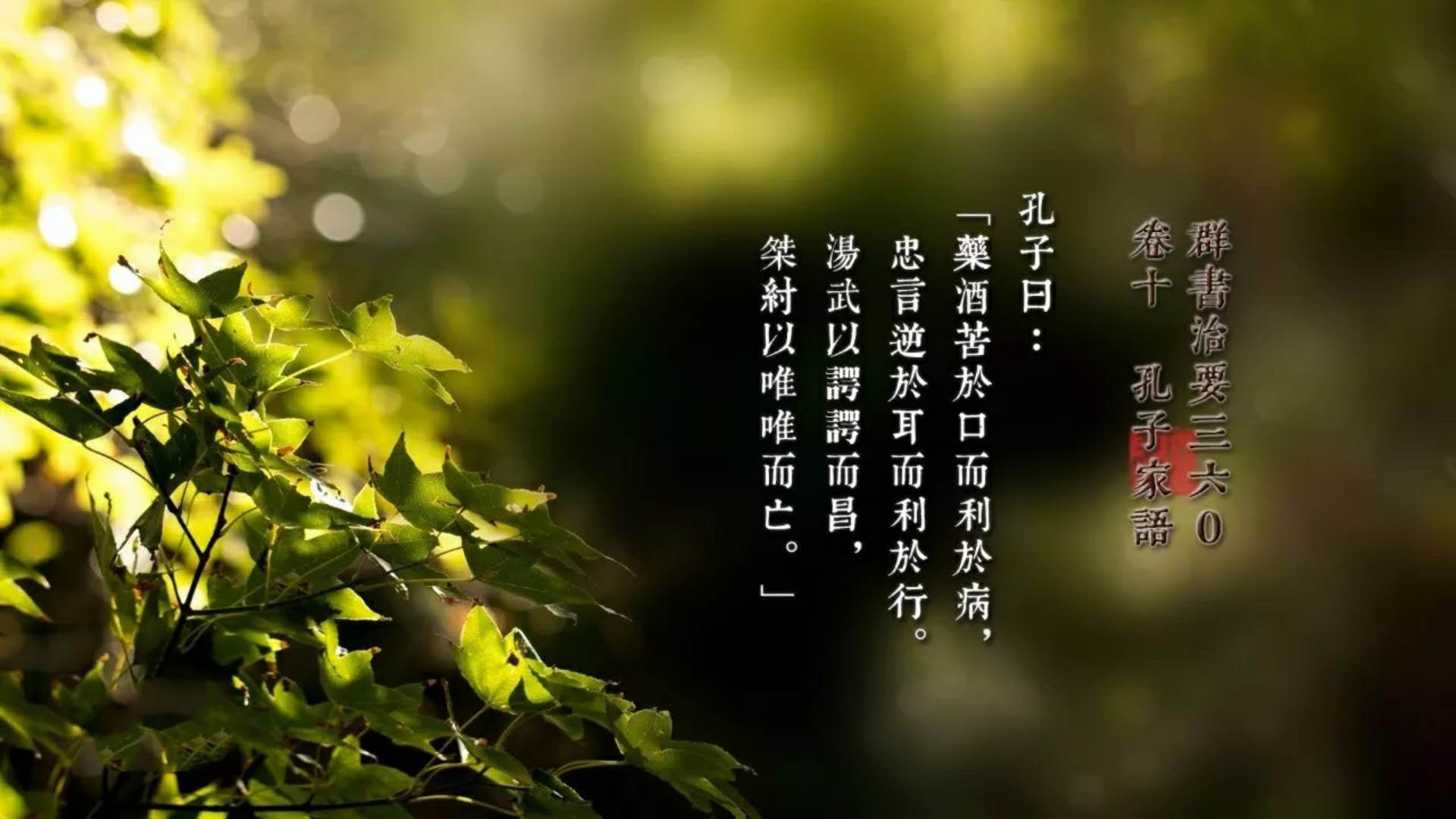 工作中要学会看清人性,工作中观人术和识人技巧