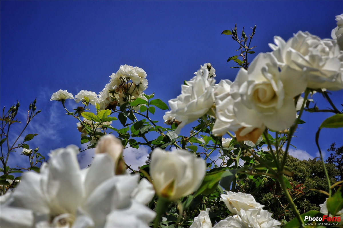 忘却时间的旅行佳能微单EOSM100轻摄新西兰