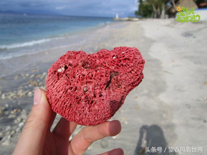 手绘旅行,东山岛旅游手绘游记