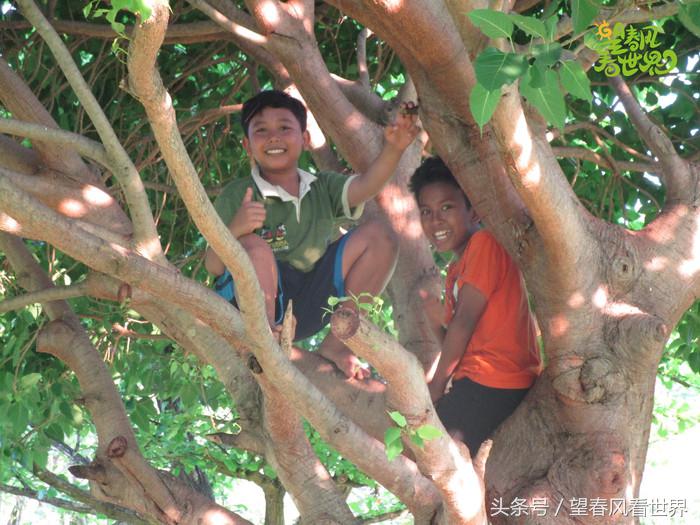 手绘旅行,东山岛旅游手绘游记