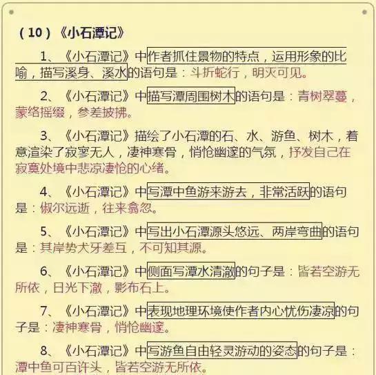 初中语文基础知识积累和易错题,初中语文基础知识点总结