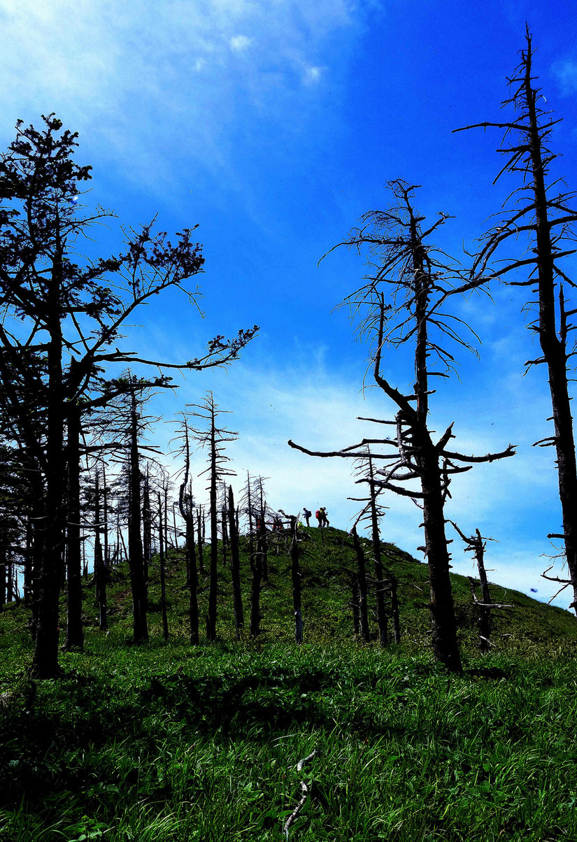 天华山-秦岭梁，又一条风景秀美的一日劲走线路
