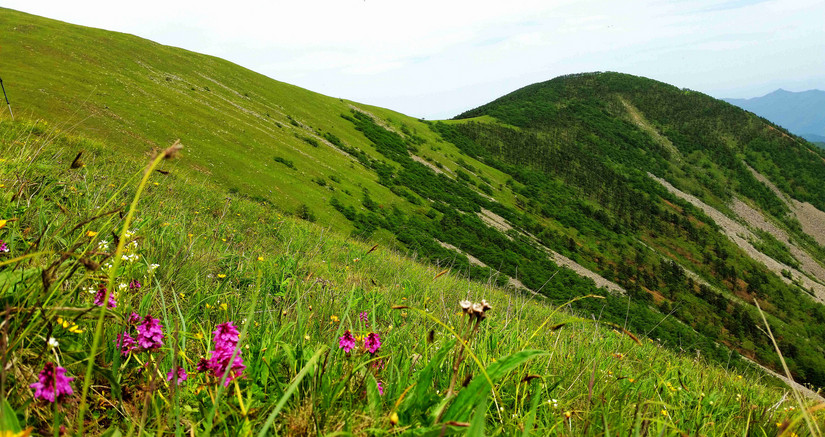 天华山-秦岭梁，又一条风景秀美的一日劲走线路