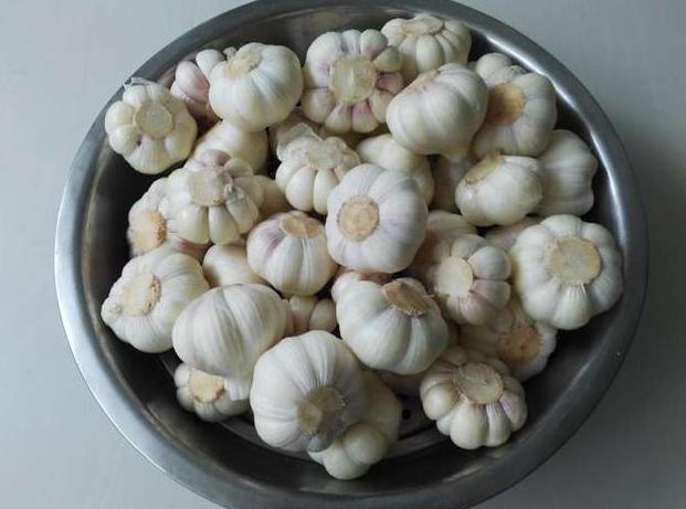 新下来的蒜怎么腌糖蒜好吃,买什么样的蒜腌制糖蒜好