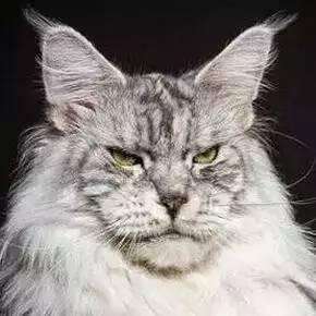 门罗探秘｜足球竞技机器人SIMI评测制作花絮