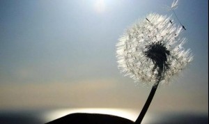 gameover歌曲,gameover歌曲完整版